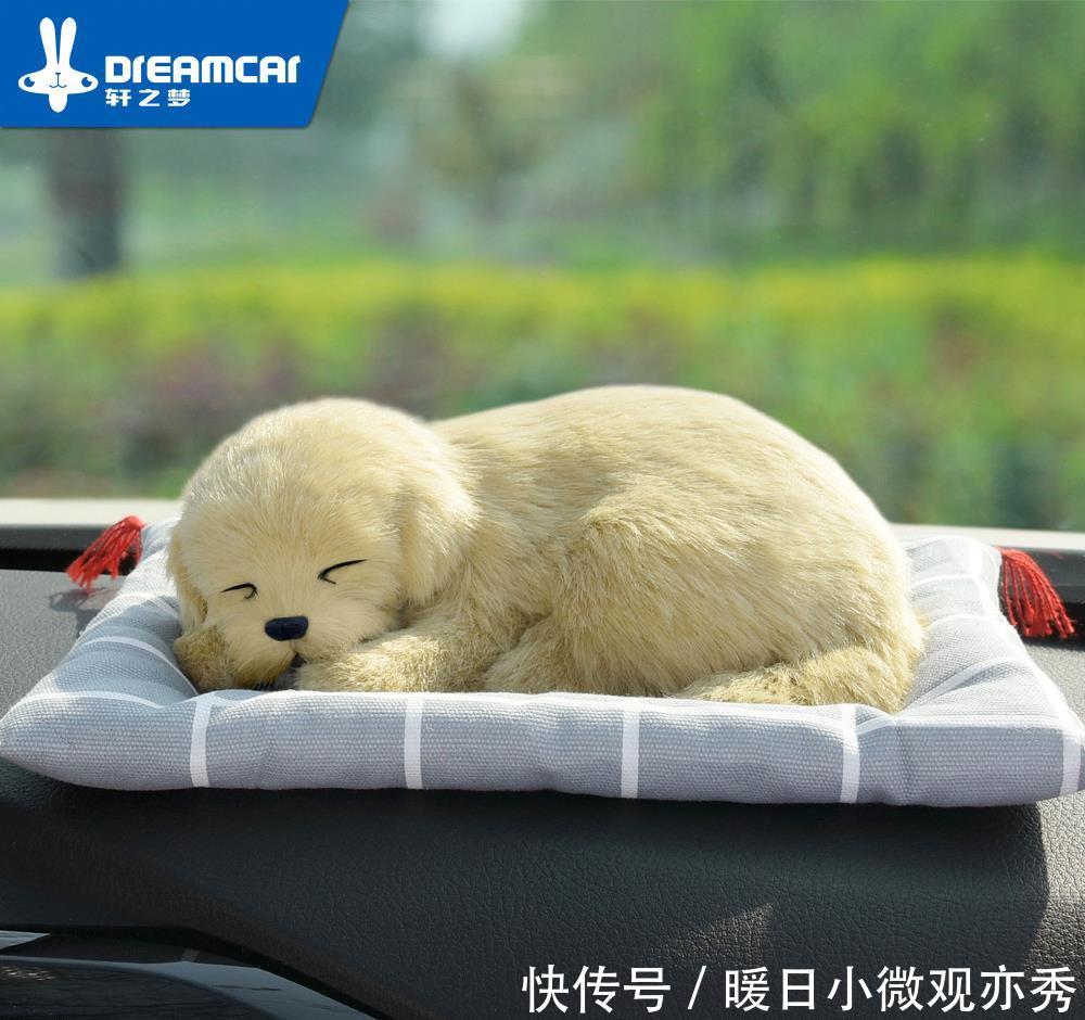 新规前报考驾照