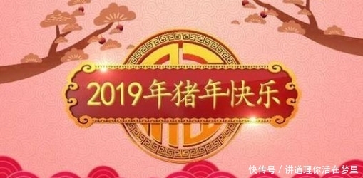 2019年央视元旦晚会节目单正式出炉!谁最让