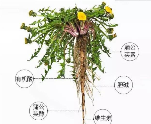 17岁小情侣想打掉腹中胎儿,医生掀开衣服却说:叫你父母来