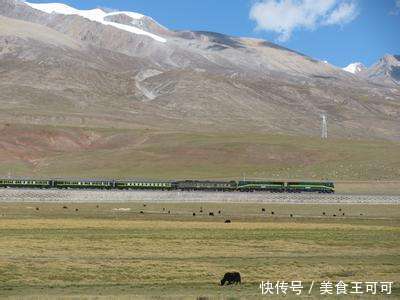 除了中国,这条“全世界最险”铁路没有国家能做到!2026通车