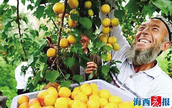 甘蔗哪个季节熟 t0137d565e174a8b234.jpg?size=574x362