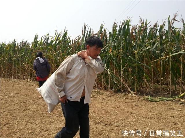 一夜之间被偷光,大衣哥忍无可忍发声质问:要欺