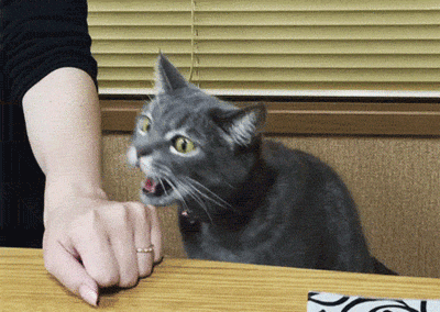 最新一期内涵爆笑动图 这发型,再漂亮也没法见人了!