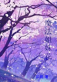 <em>魔法姐妹花</em>-来360小说