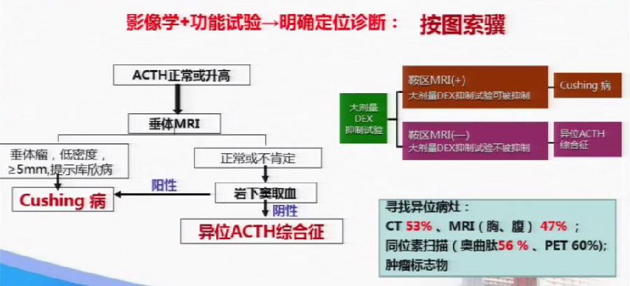 异位ACTH综合征的诊疗难点分析【2018华东内分泌代谢病论坛】