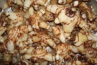 白芨苗几月份可以移栽_360问答