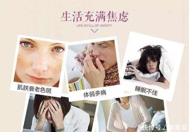 每天泡一杯紫色的美颜“神水”,远离亚健康 bt365游戏app下载