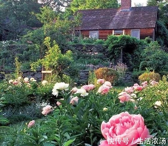 t013f8b361625b91e8d.jpg?size=561x490