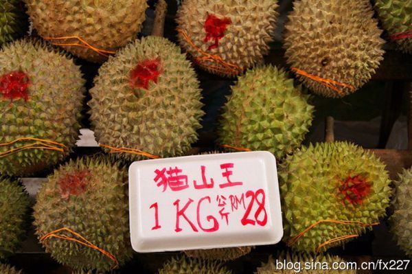 那为什么猫山王榴莲 那 么 贵_360问答