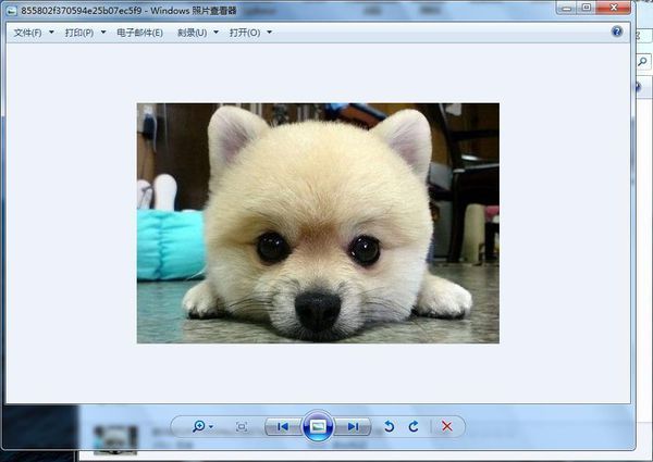 电脑上的照片怎么用打印机打印出来啊