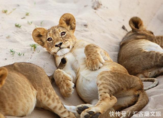 江一燕流连忘返的圣地,探险家的乐园,这个国度终于落地签啦!