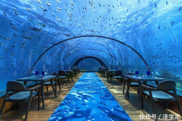世界上10家风景和味道独特的水下餐厅，中国一处上榜