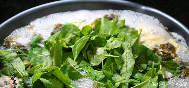 枸杞叶煮这款汤,连喝一周都不烦,清清爽爽补肝