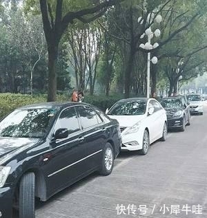 举报违章停车