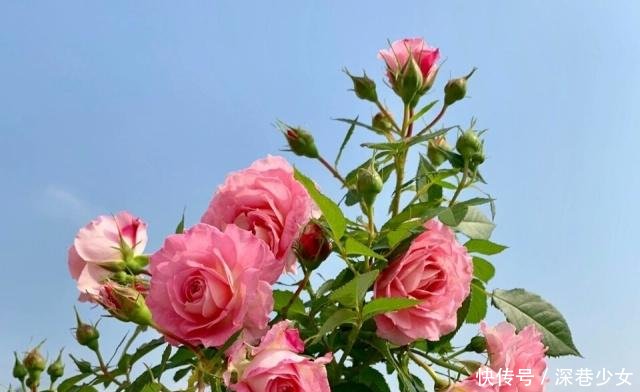 t0142dc08d93cc146a2.jpg