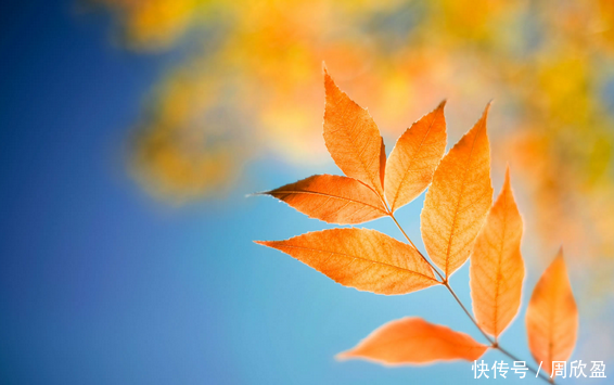 周欣盈:新手炒股如何守住盈利,稳赚不亏