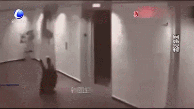 t0143e0f2a9477a74c9.gif?size=400x226
