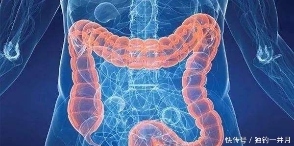 经常放屁千万不要忽视,通过「气味」来判定肠