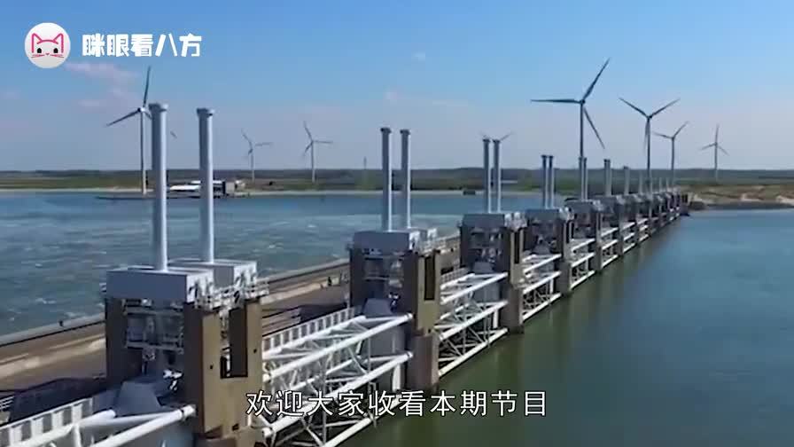 日本1977年海怪尸体事件 它真的是世界上最后一只蛇颈龙吗 360视频