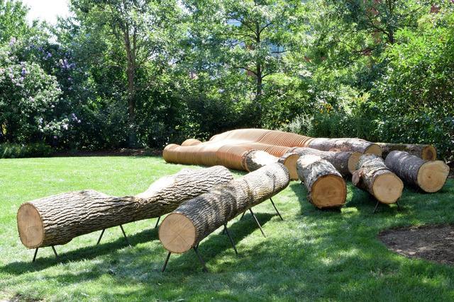 田园说:不是只有树屋才是木头做的房子