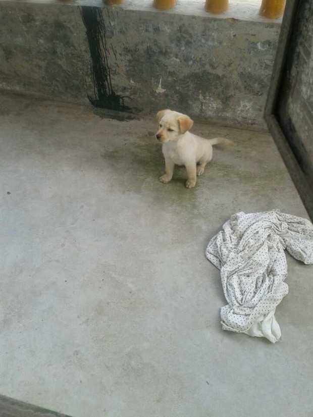 <em>表姐回家</em>我忍不住_表姐向我张来了双腿_那夜