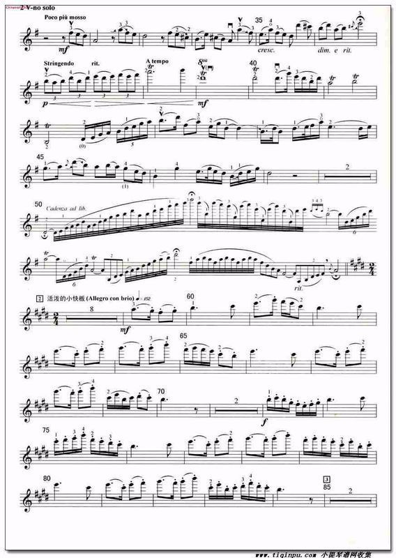 小提琴赛马曲谱_小提琴曲谱(3)