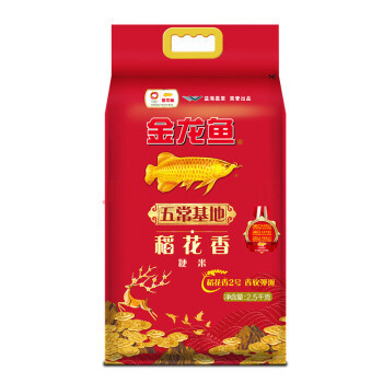 普通的金龍魚多少錢一條（普通金龍魚的價(jià)格）