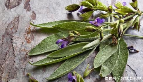 怎么去掉脸上的螨虫?一把草把螨虫一点点扼杀