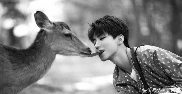 王俊凯这几张喂鹿的照片看一次心动一次,让我