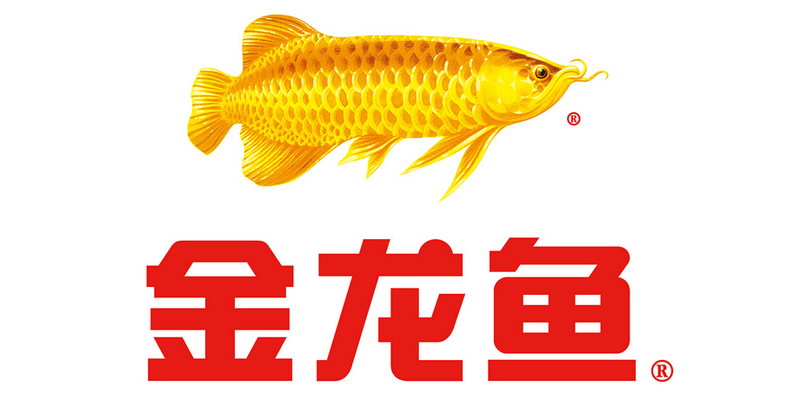 高背龍魚和過背龍族魚區(qū)別（高背龍魚和過背龍族魚區(qū)別在哪） 觀賞魚市場(chǎng)（混養(yǎng)魚）