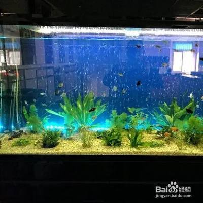 昌吉市龍澤水族館（昌吉市龍澤水族館電話） 全國(guó)水族館企業(yè)名錄