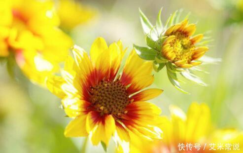 5月下旬“桃花”入命，这些生肖幸福满满！