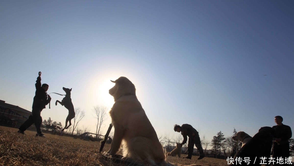 第一危险赔偿方式