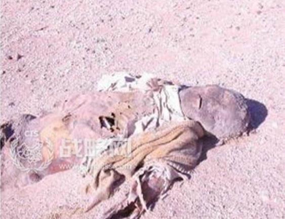 海洋之王者:罗布泊绝密档案中彭加木与双鱼玉