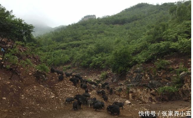 2018年回农村各行各业有什么样的发展?适合年轻人回乡吗?