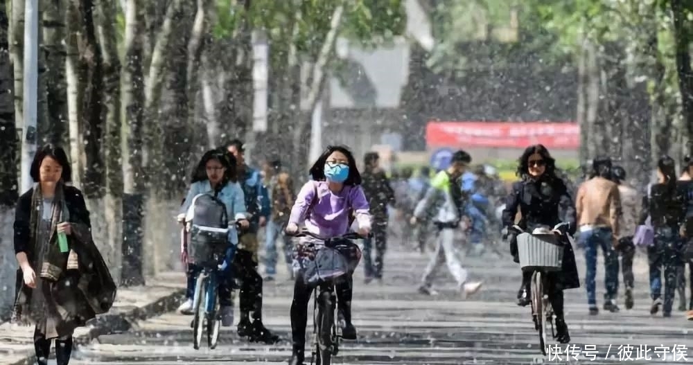 t015247d56e8d2e261f.jpg?size=1000x527