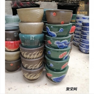 深海大黑魚(yú)(深海黑魚(yú)子醬) 觀(guān)賞魚(yú)魚(yú)苗