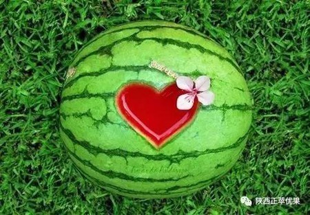 t0152faca0232a3d77c.jpg?size=450x313
