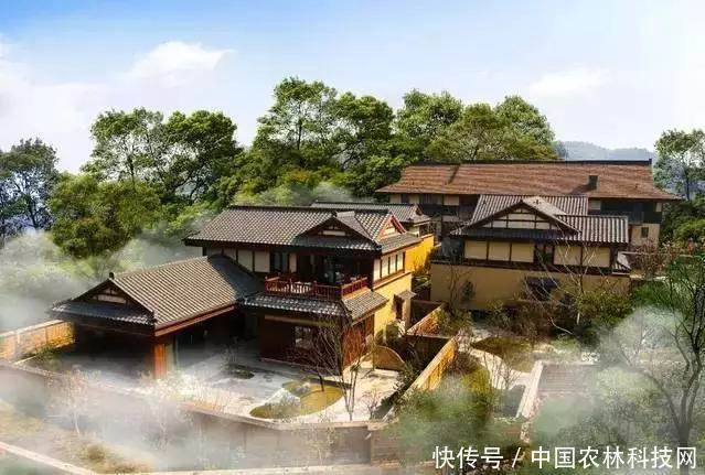 从无到有,年入6亿的特色小镇是如何炼成的?