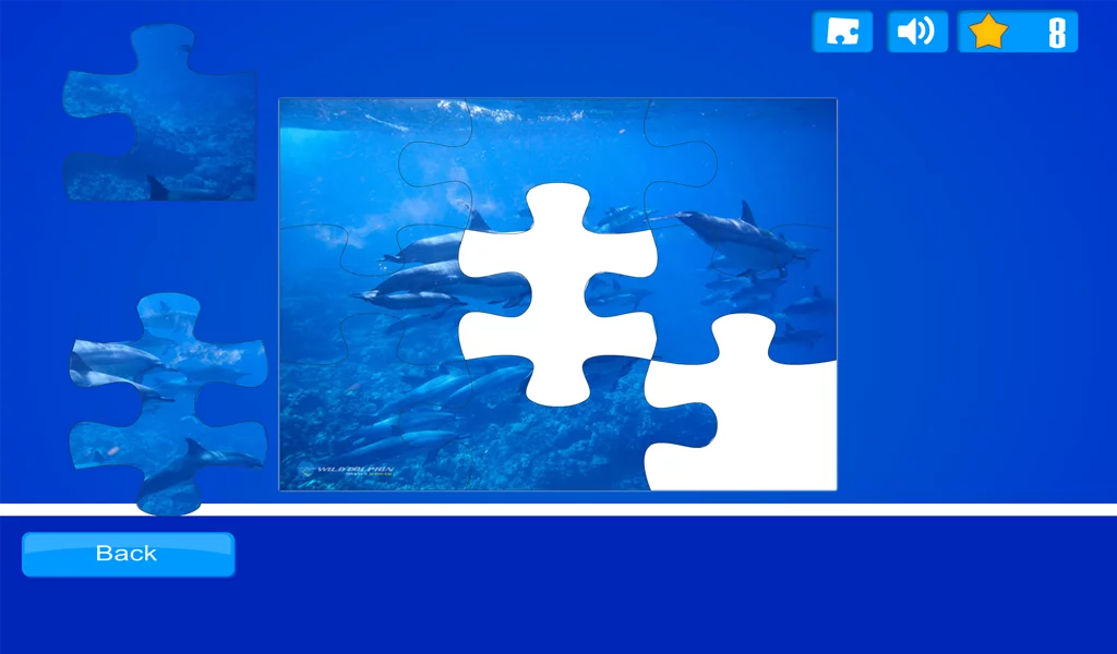 Dolphin Puzzles截图7