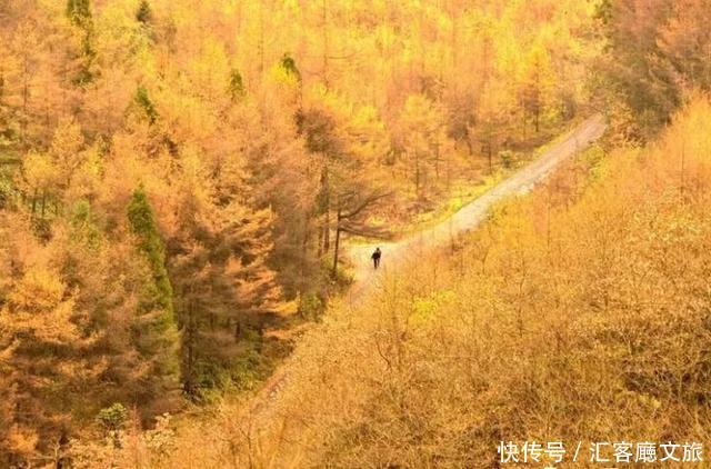 北纬30°上又一个神秘仙境，凭什么惊艳世界？