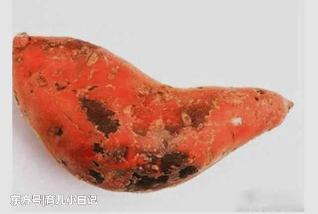 饿死也不要吃的4个食物, 别不当回事, 这关乎性命! - 咱当兵的人 - 朋友多了路好走,有缘是朋友。 t0153aca04d440a470c.jpg?size=640x431