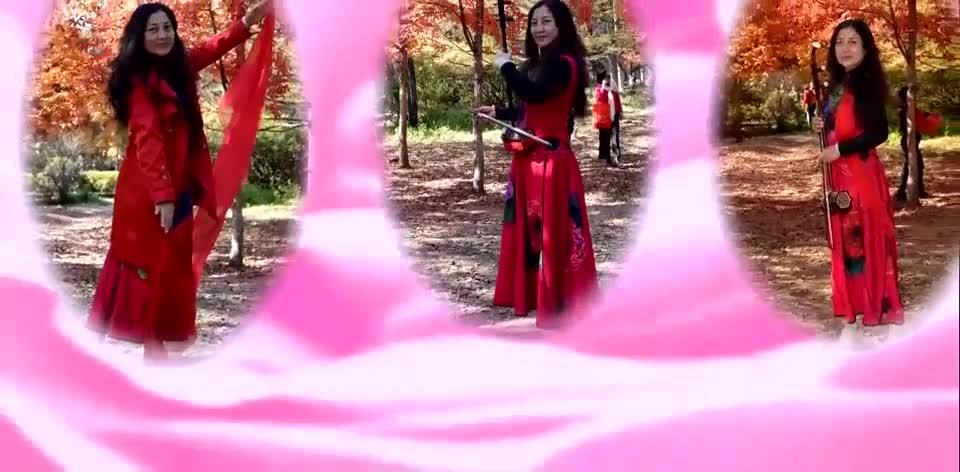 二胡《女人花》
