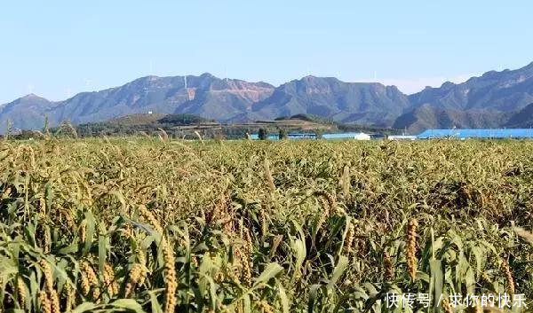 厉害了，河南这5个县市区被教育部点名，未来发展要逆天！
