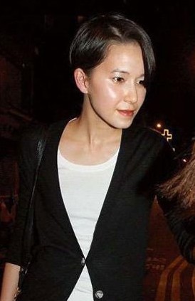军事专家梁芳_国防大学教授梁芳_李泽楷女友梁芳_梁 ...