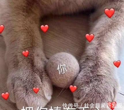 最近520行星风很大,第一眼怕看错,第二眼可图守护变成你表情让搞笑我的图片