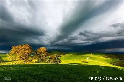 做人淡而久香,不争,不俗