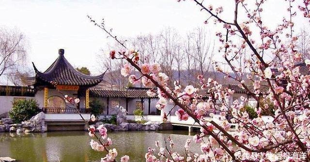 五一小长假好去处!江浙5大绝美冷门景区,上海