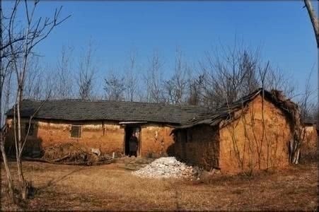 二级残疾证最新政策