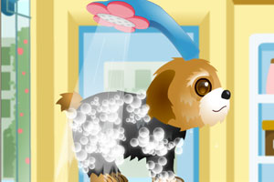 宠物小保姆2,宠物小保姆2小游戏,360小游戏-3